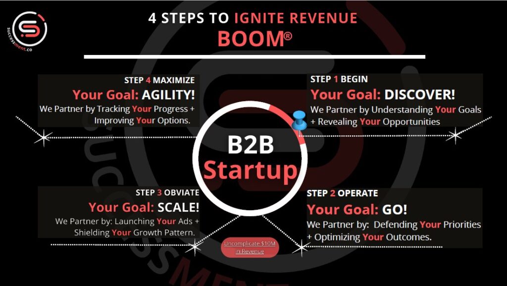 Successment's BOOM Process for Revenue Growth